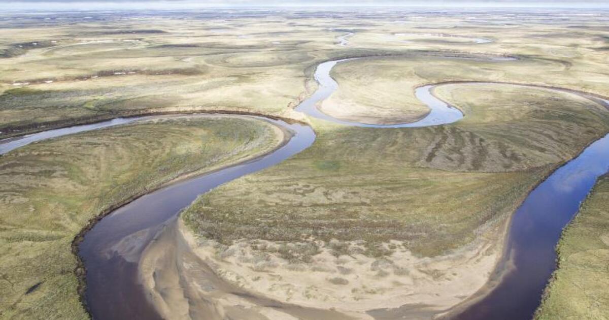 Oil industry has an idea to speed permitting on western Arctic leases. BLM likes it.