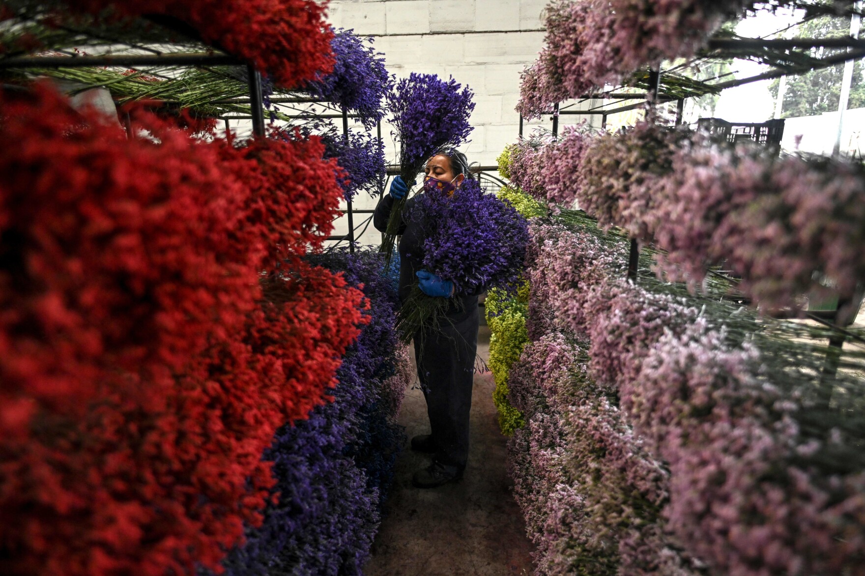 There's A Good Chance Your Valentine's Flowers Come From Colombia