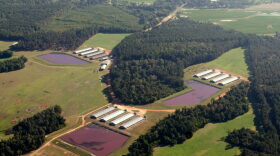 An aerial view of an industrial hog farm and lagoons filled with waste in eastern North Carolina.