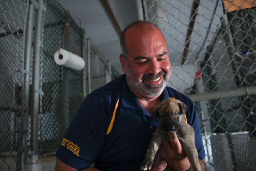 WVPB Greyhounds Sarras Farm 5