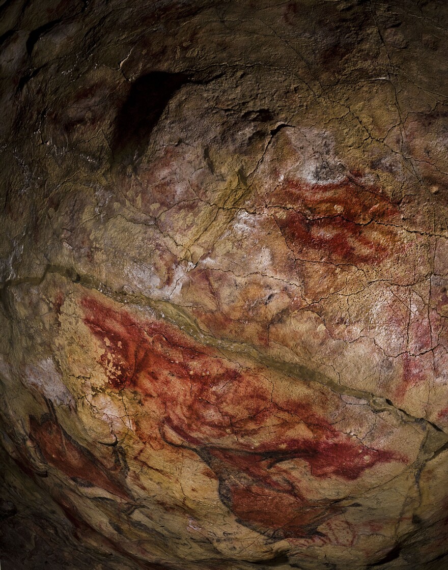 The symbol on the ceiling of the Altamira Cave in Spain has been dated to earlier than 35,600 years ago, making it some 20,000 years older than the bison in the background.