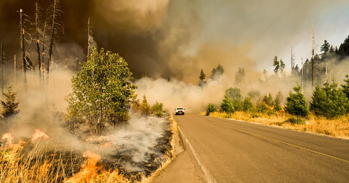 Climate Crisis Brings A New Mental Health Concern: 'Climate Anxiety'
