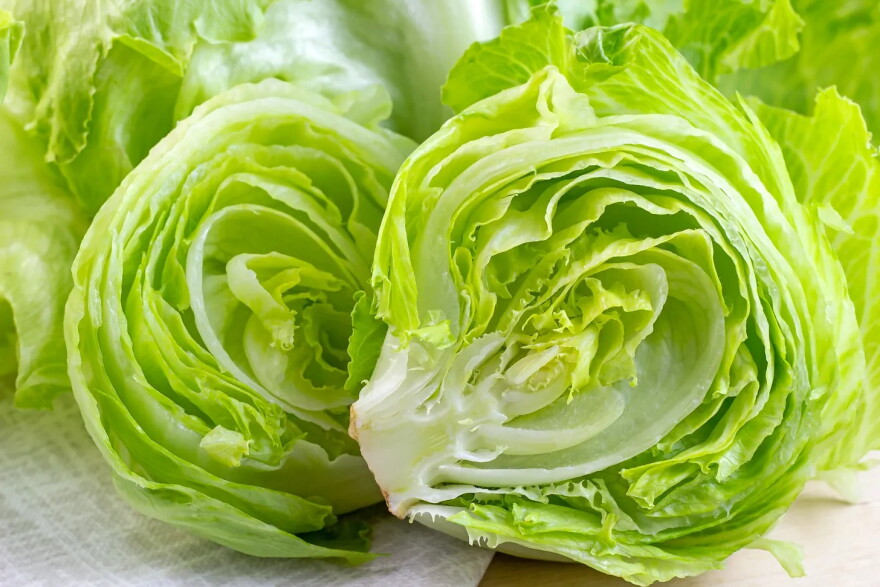 Fresh green iceberg lettuce salad leaves cut on light background on the table in the kitchen