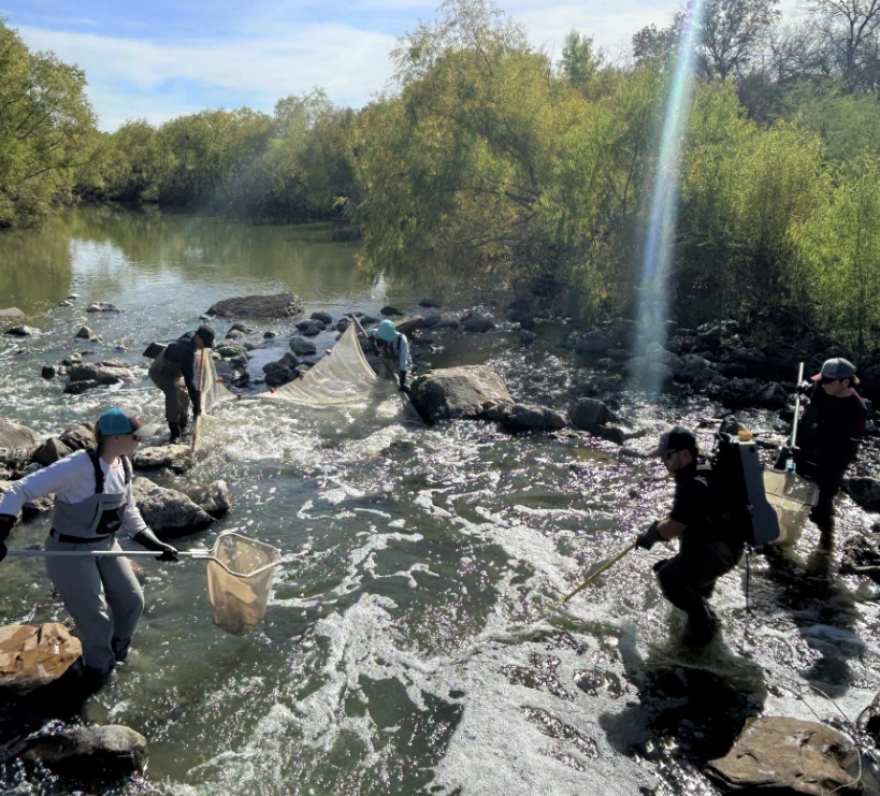 Workers on the Mission Reach of the San Antonio River