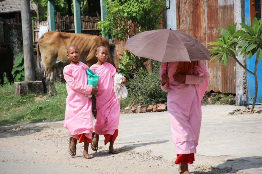 Three Buddhist nuns walk by a cow on the street in Sittwe. The Rakhine are a mostly Buddhist ethnic minority, with their own distinct language and culture.
