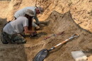 Few juvenile tyrannosaur specimens have ever been recovered, making the find by a team of University of Kansas paleontologists valuable for researchers.