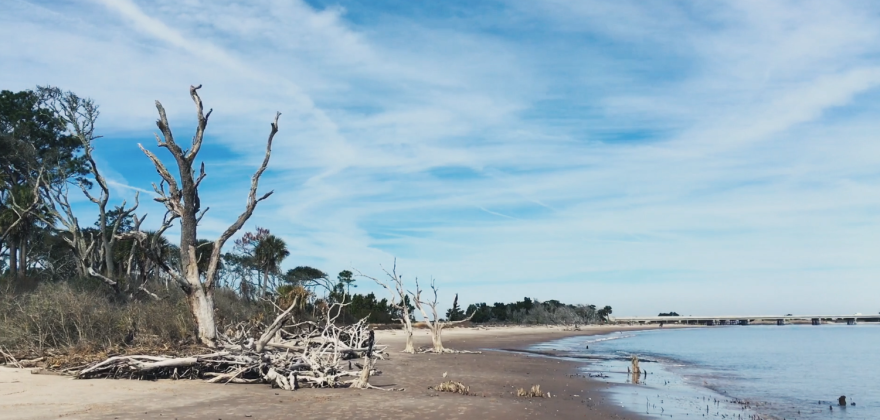 Little Talbot Island State Park