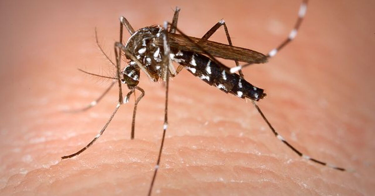 Kent County Health Department confirms first human case of West Nile Virus this season