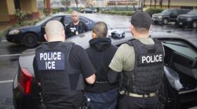 Two people wearing vests with their backs to the camera, one reads "Police ICE" and the other says "POLICE" are arresting a man wearing a black hooded sweatshirt. They are putting him into a car.