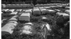 The historically Black cemetery Lincoln Memorial Park is the centerpiece of an upcoming exhibition curated by Carl Juste and the Wolfsonian Public Humanities Lab.