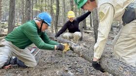 Three members of a trail crew cut a log with a small saw. 