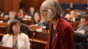Rep. Andi Story, D-Juneau, speaks Wednesday, May 8, 2024, on the floor of the Alaska House of Representatives.