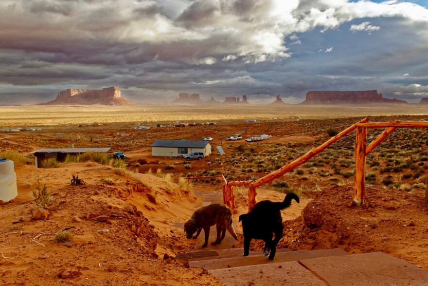 Photo of dogs outside in Monument Valley