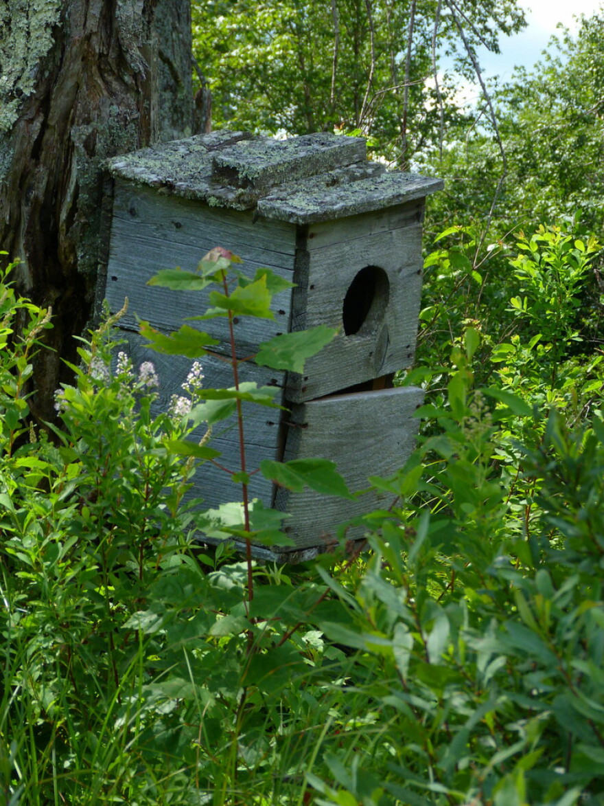 A wood duck box.