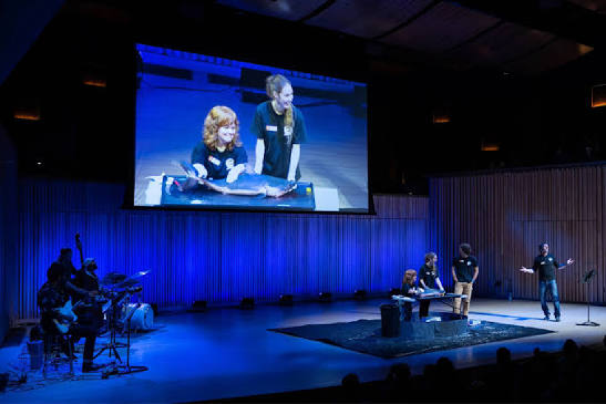 Musicians and presenters on a dimly lit stage.