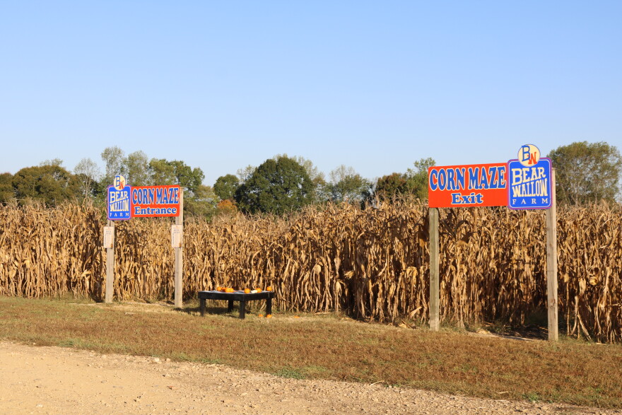 Bear Wallow Farms offers a corn maze as one of it's many attractions, seen on October 8, 2026. It's one of the Commonwealth's many agritourism sites where attendees can experience a little bit of farm life.