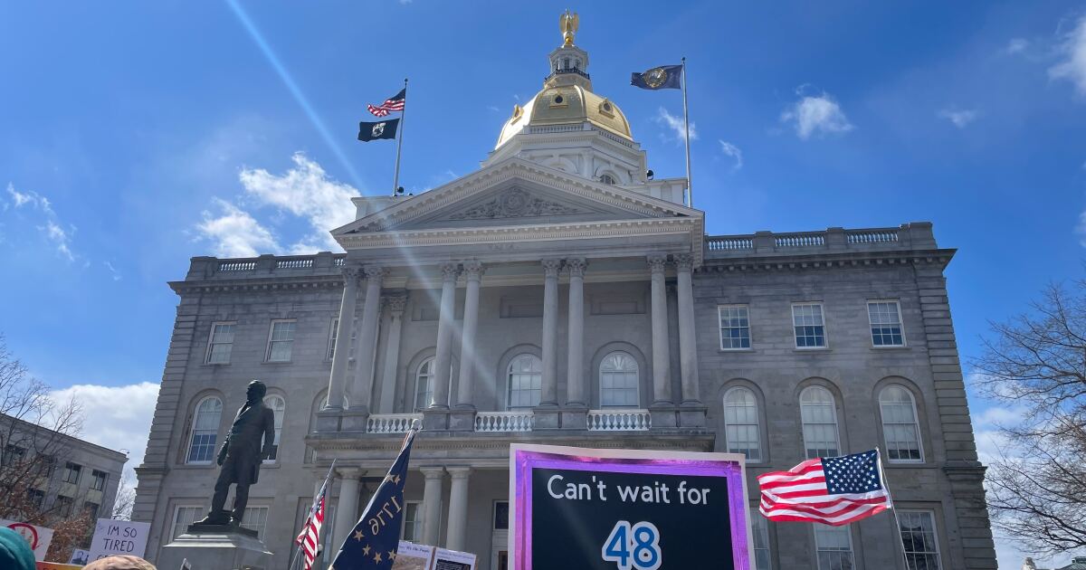 ‘I don’t know what the world’s coming to.’ Protestors attend No Kings rallies across NH.