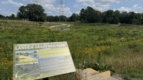 The new wetland at Landen-Deerfield is full of native plants and grasses and has water channels throughout.