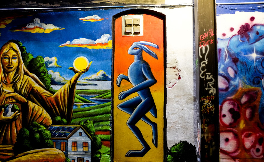 Murals in the alleys in downtown Sioux City painted during the Alley Arts Festival.