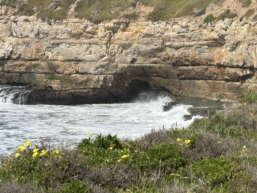 An empty coastal cave, formerly the site of an active peregrine falcon nest.