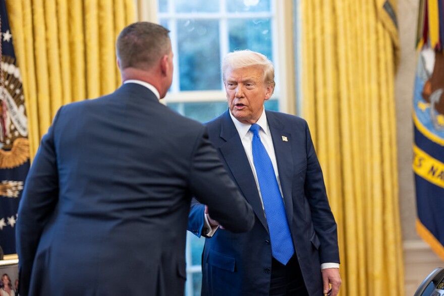 President Donald Trump at the White House in March 2025.