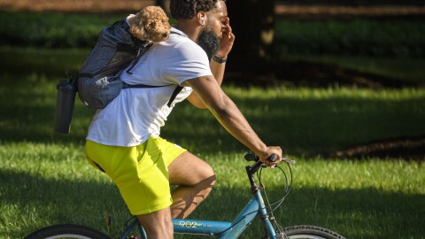 In late afternoon sun, Jarod Hughes wipes sweat from his brow while biking Farmington Avenue with his girlfriend's dog, Nola, in a canine carrier.