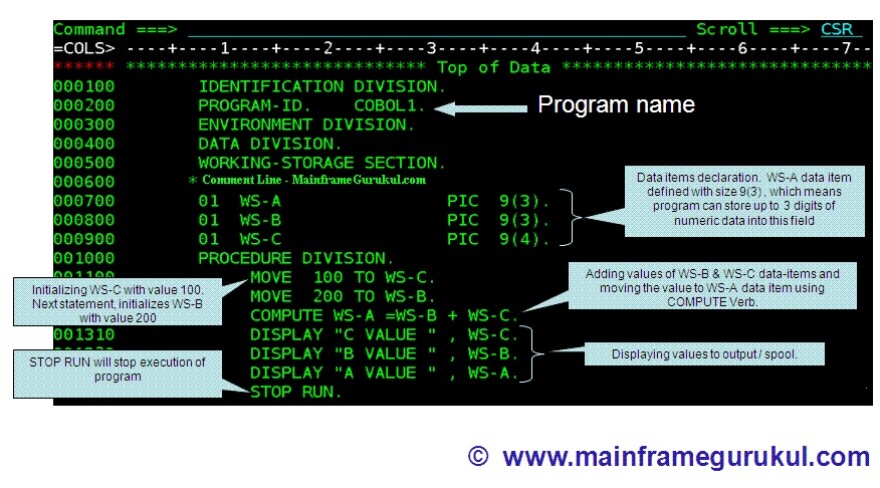 cobol-sample-program-1.jpg