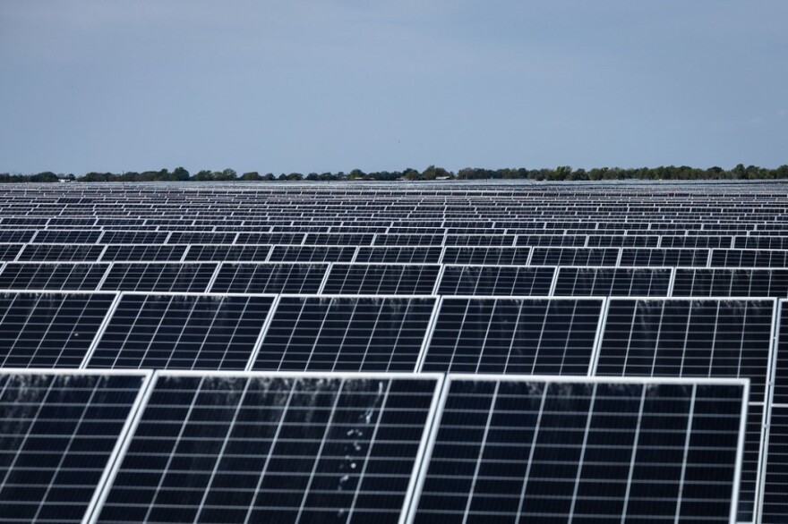 Rows of solar panels stretch into the distance at Enel Green Power’s Blue Jay solar array and battery storage in Grimes County.