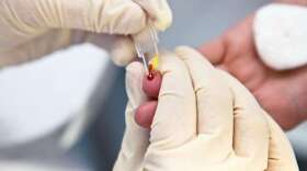 Photo by spflaum via Adobe Stock