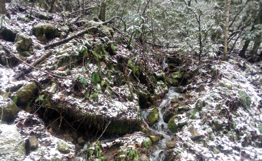 Snow on the road to the transmitter.