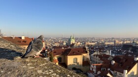Elizabeth Carlen and Daisy Lewis studied pigeon and pedestrian density in Madrid, Spain and St. Louis