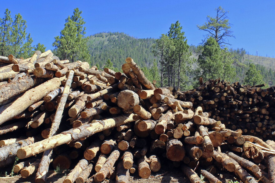 Stacks of logs in the San Francisco Peaks of the Coconino National Forest in northern Arizona await cutting and splitting into firewood on June 8, 2020. Tall stacks of logs left over from a forest thinning project in mountains overlooking Flagstaff are being processed into thousands of cords of free firewood to provide a winter heat source for northern Arizonans, including residents of the Navajo and Hopi reservations. (AP Photo/Paul Davenport)