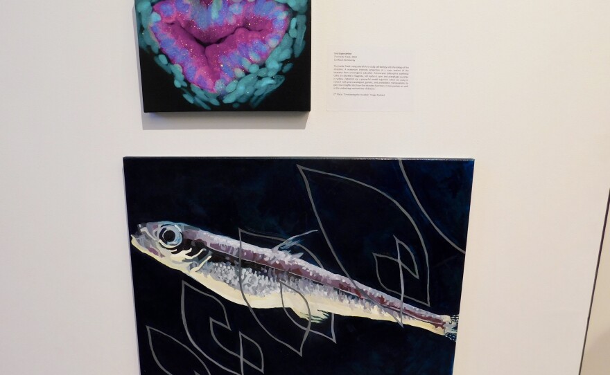 An artist piece next to a science piece