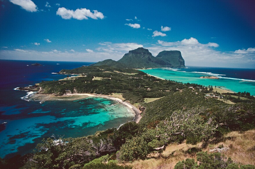 Lord Howe Island, in the South Pacific, is once again home to some of its namesake insects — but only in captivity so far.