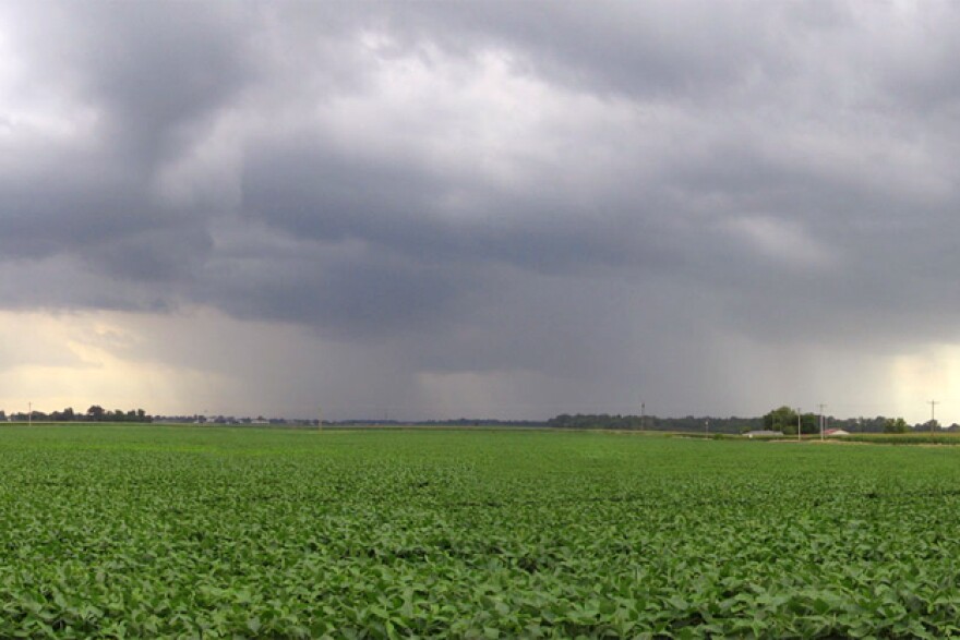 Experts say fossil fuel emissions have increased the amount of severe storms and overheating in the Midwest.