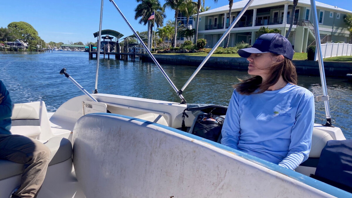 Florida's Mangrove Rangers ride to the rescue of a beleaguered habitat - Vimarsana News