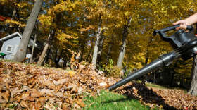 Leaf blowers are loud, and they pollute the air, but state law doesn't allow communities to ban them.