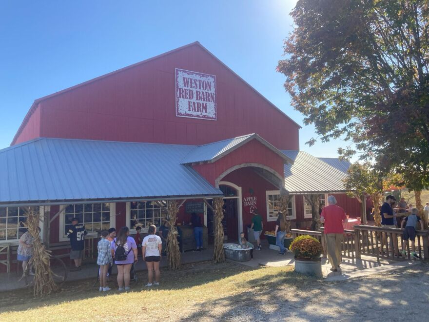 Customers survey the produce outside and in the Weston Red Farm Barn.