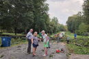 On Friday night, heavy rainfall and wind gusts brought down several trees in Greensboro.