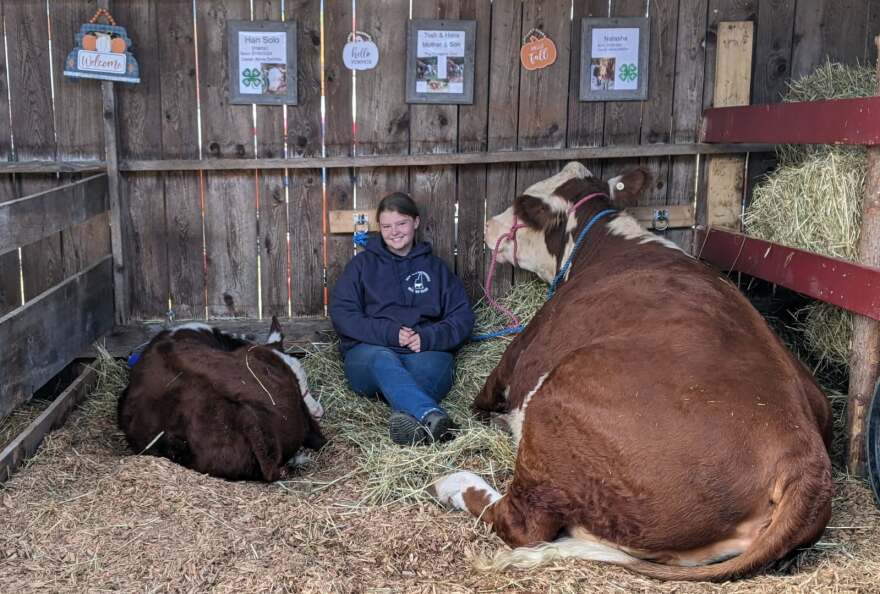 Girl sitting with her cow in a barn