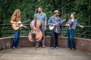 Tray Wellington Band
