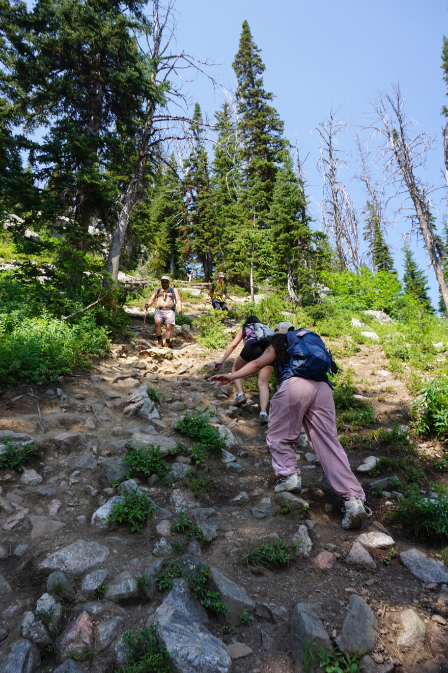 Two people climb up a steep, rocky hill with pine trees, while another hiker descends.