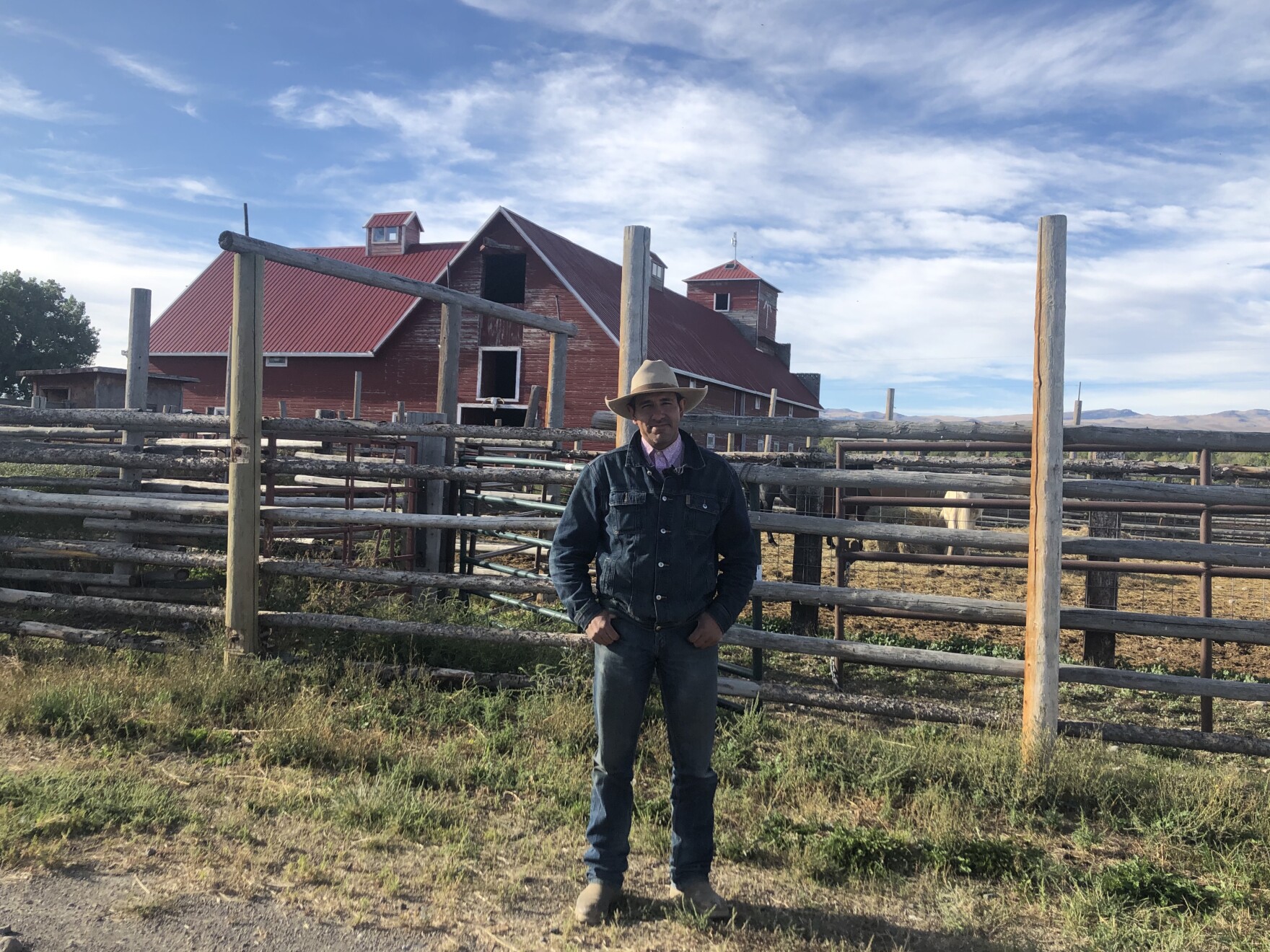 After DecadesLong Struggle, Buffalo Return To Northern Arapaho Land