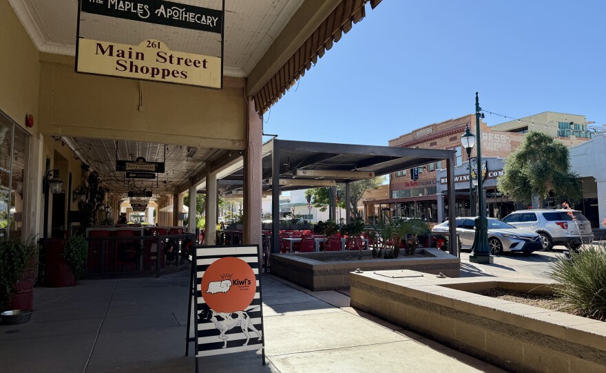 Nicole Millis, owner of Kiwis Distinguished Pet Goods, is pictured working at her shop on November 25, 2025.