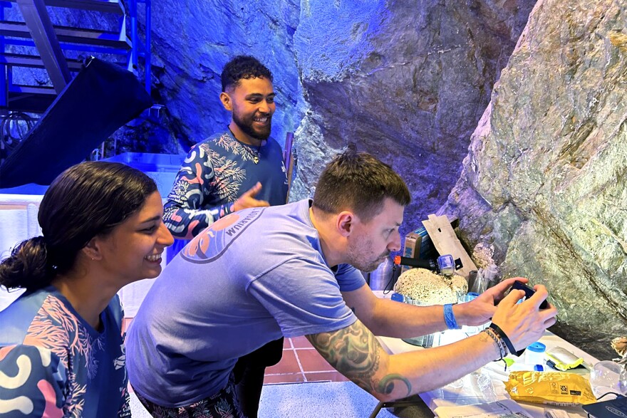 Senior director of fish and invertebrates at Mystic Aquarium David Cochran (center) is working with team members from the Centro de Vida Marina after having collected some coral spawn. Cochran said they are gathering data through monitoring equipment and lab work to learn more about coral reefs. They said this information can help one of the big questions researchers are trying to answer: "What kind of resiliency do these animals have, and how can our work in the lab setting help affect that resiliency?"