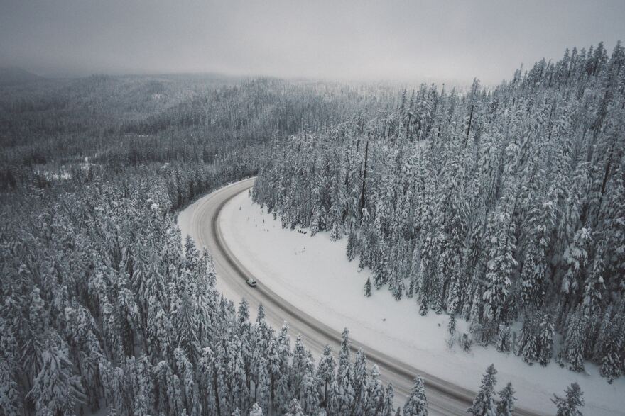 Image of car driving through snowy tree-lined road.