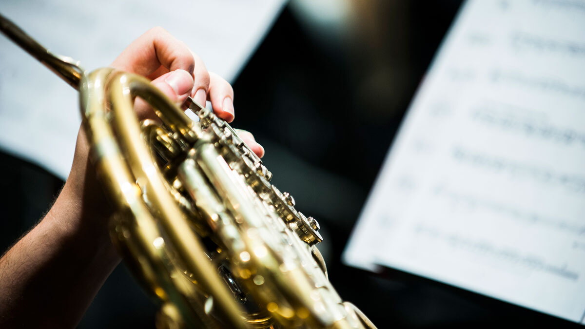 SIU Wind Ensemble closes fall semester with Nov. 30 performance - Vimarsana News