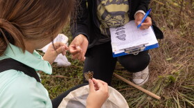 People tag monarchs at Baker University’s Wetlands Discovery Center last September. Monarch Watch holds a tagging event each fall during migration season.