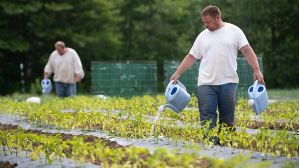 Resident Darren McKenzie (right) and Jesse Mackin water tomato plants on the grounds of the Mountain View Correctional Facility’s garden in Charleston in June 2021.