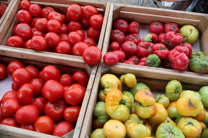 Nationally, the cost of tomatoes has increased beyond the already rising prices of groceries and produce in general, according to the U.S. Department of Agriculture.